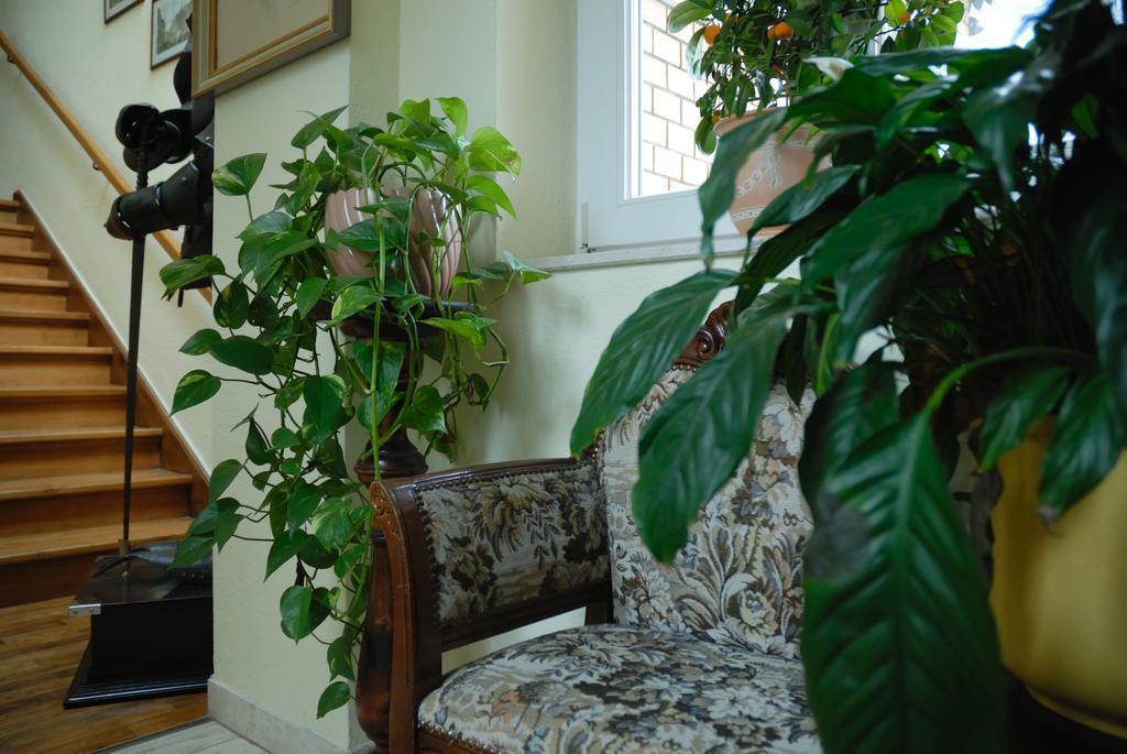 Haus "Beuth" Apartman Bad Elster Kültér fotó